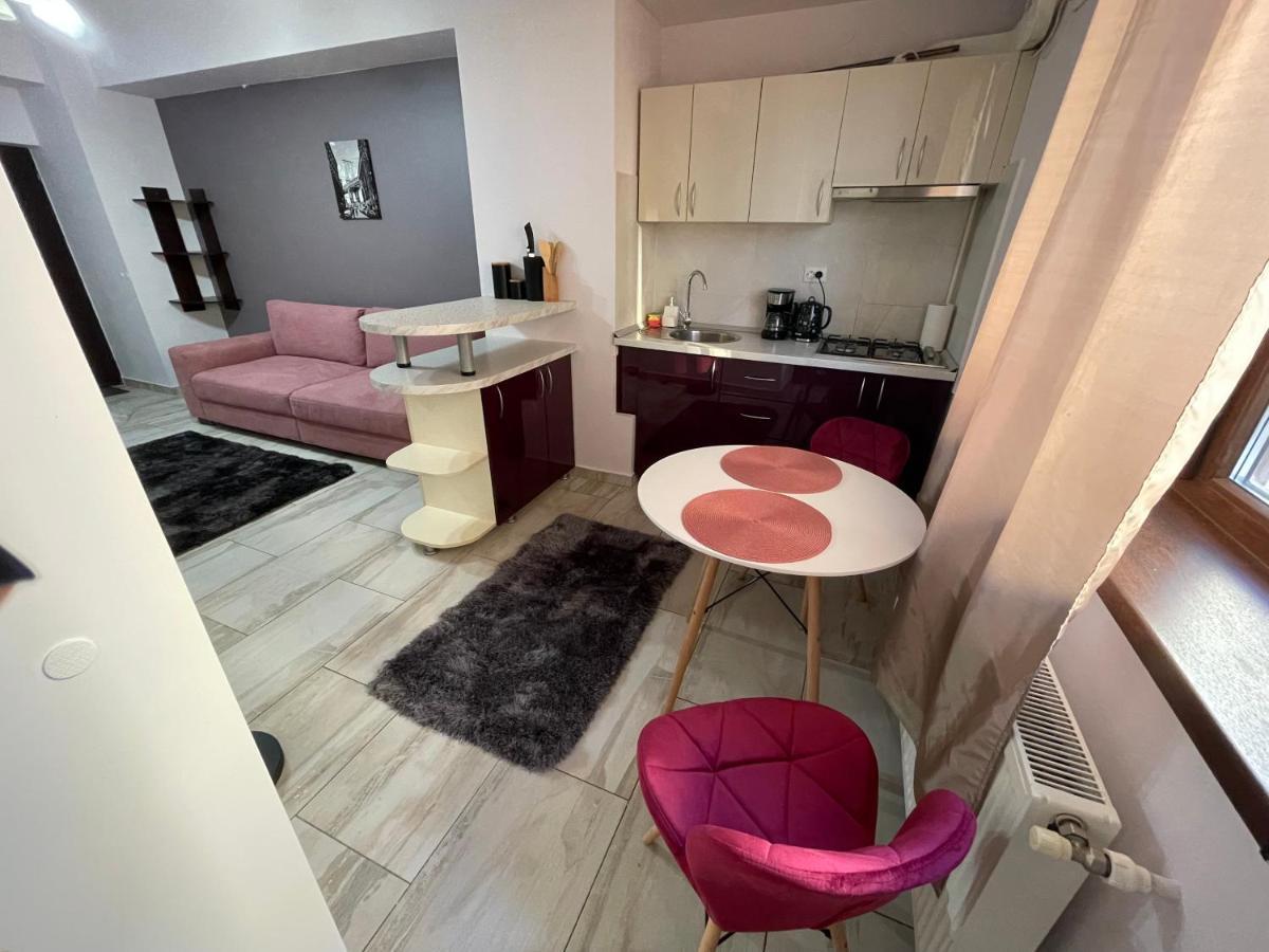 Ferienwohnung Le Lupin / Center Iasi Exterior foto